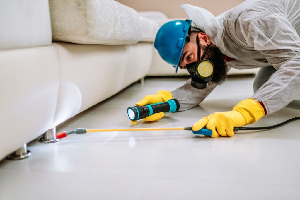 Sanford Termite Professionals
